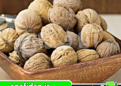 نهال گردو کاسپین