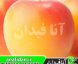 نهال آلو ارلی گلدن