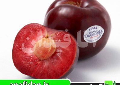 نهال آلو بلک دیاموند