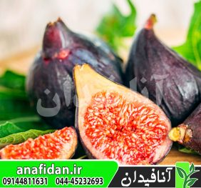 نهال انجیر بلک میشن