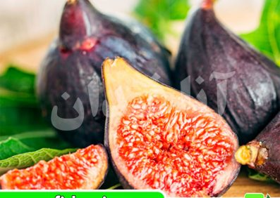 نهال انجیر بلک میشن