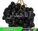 نهال انگور بلک سیدلس