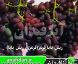 نهال انگور ریش بابا قرمز