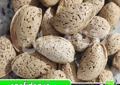 نهال بادام اصفهان