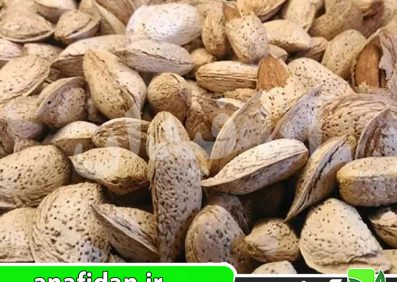 نهال بادام شکوفه