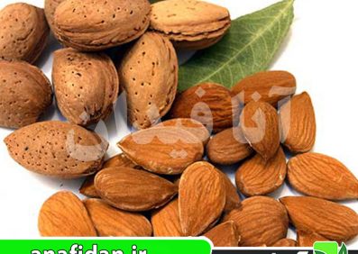 نهال بادام گوارا