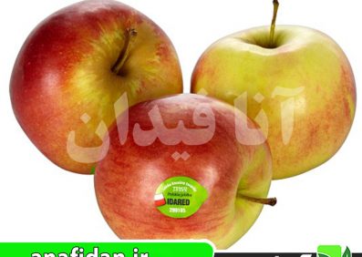 نهال سیب آیدارد