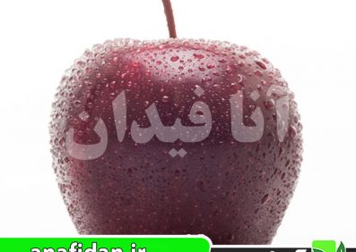 نهال سیب ارلی رد وان