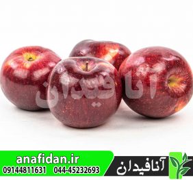 نهال سیب امپایر