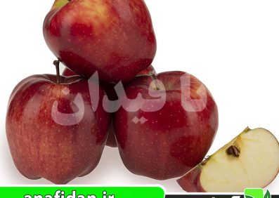 نهال سیب رد دلیشیز