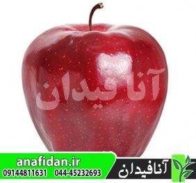 نهال سیب رد چیف