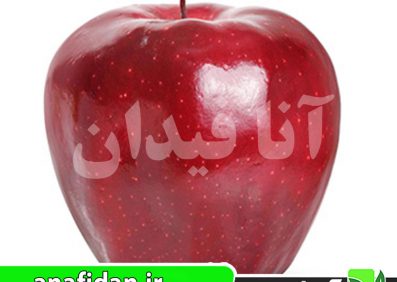 نهال سیب رد چیف