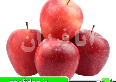 نهال سیب رویال گالا