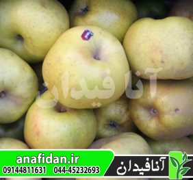 نهال سیب رینتته