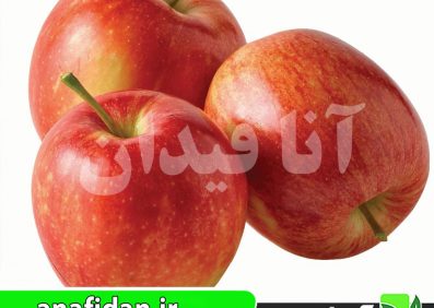نهال سیب فوجی