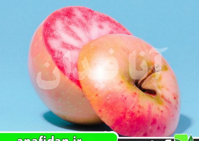 نهال سیب پینک پرل
