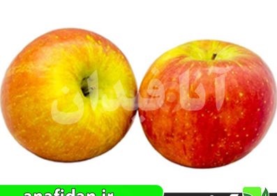 نهال سیب کرتلند
