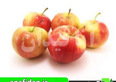 نهال سیب گلاب