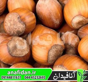 نهال فندق روند