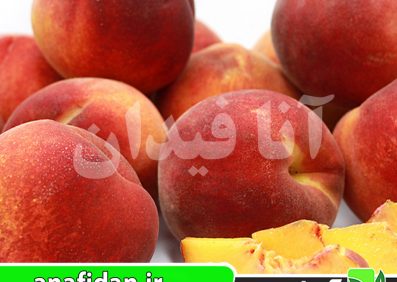 نهال هلو ردتاپ