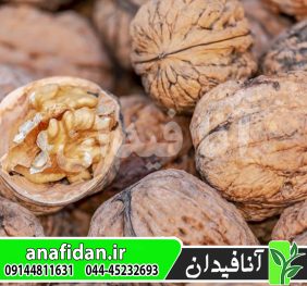 نهال گردو دماوند