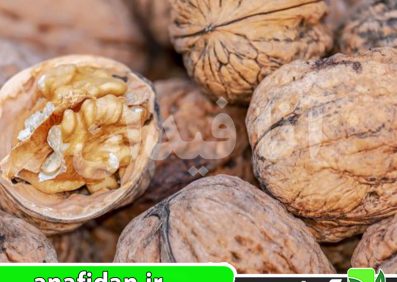 نهال گردو دماوند