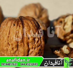 نهال گردو چالدران