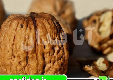نهال گردو چالدران