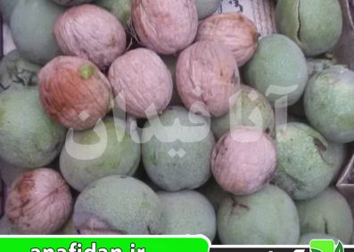 نهال گردو چندلر