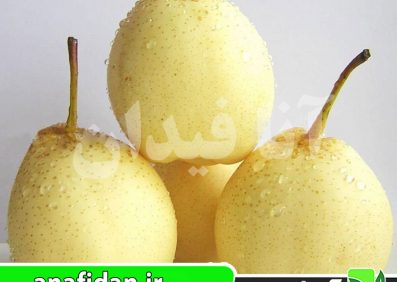 نهال گلابی آسیایی یالی