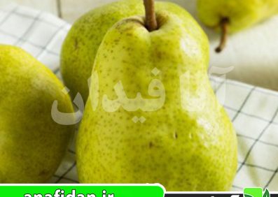 نهال گلابی بارتلت