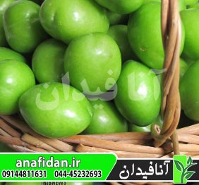 نهال آلوچه سبز سردرودی