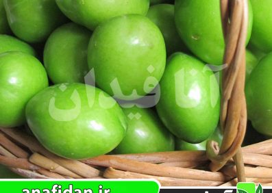 نهال آلوچه سبز سردرودی